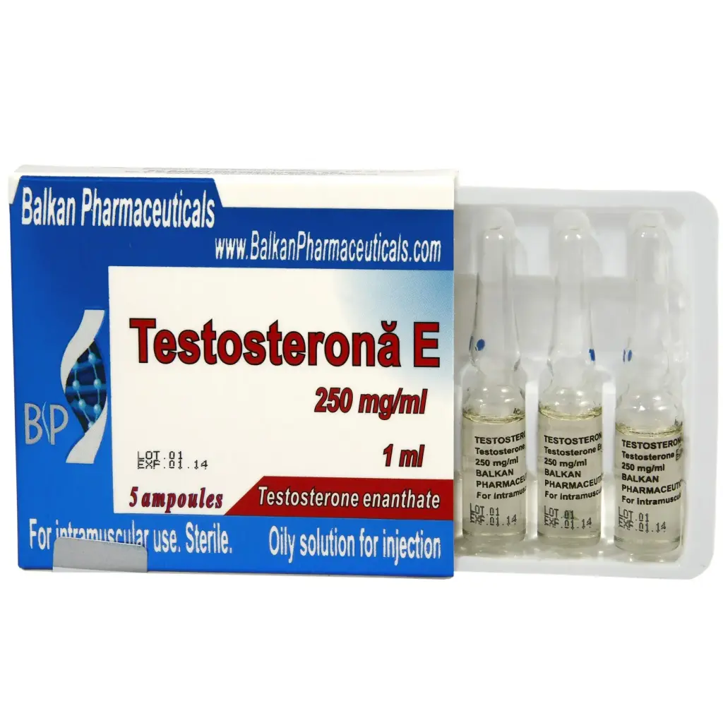 Buy Testosterona E Online Buy Testosterona E Online