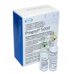 Best HCG Pregnyl 5000 from Legal Supplier